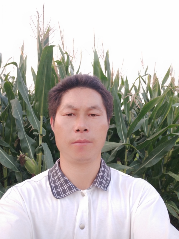 四海游龙的第二张照片--将乐相亲网