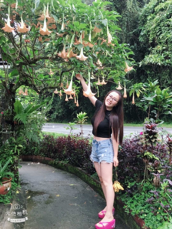 离异单身无子的第二张照片--将乐相亲网