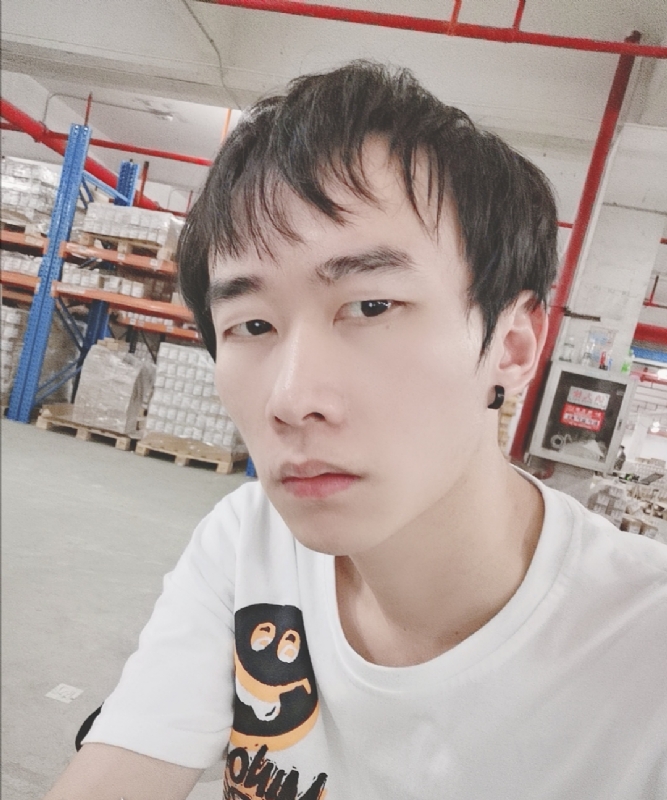 巷子里的猫的第一张照片--将乐相亲网