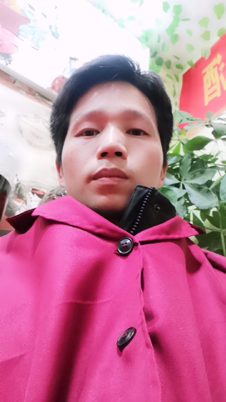 单身的林凡的第一张照片--将乐相亲网