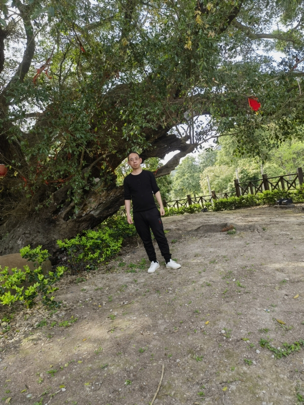 师傅被妖怪吃了的第一张照片--将乐相亲网