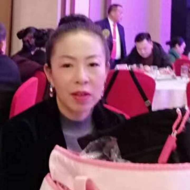 中秋桂花玉兔的第四张照片--将乐相亲网