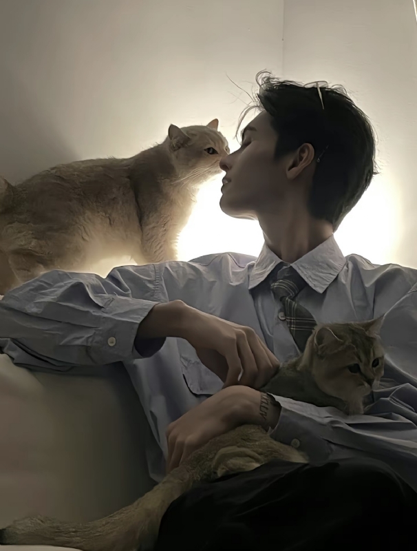 怪猫的第一张照片--将乐相亲网