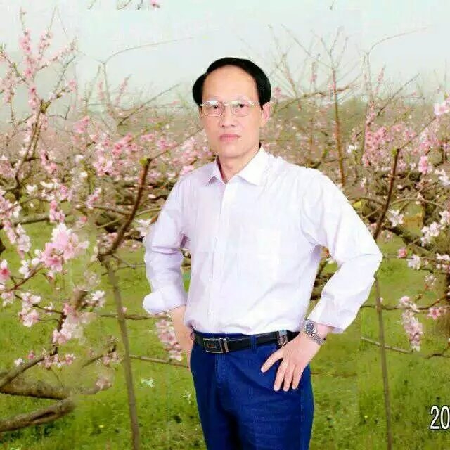枫叶的第一张照片--将乐相亲网